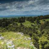 � il �Pulicchio�, situato nell�agro di Gravina in Puglia: una dolina carsica dalla forma ovoidale creata con ogni probabilit� dal crollo di un sistema di grotte scavate dall�acqua nella roccia calcarea